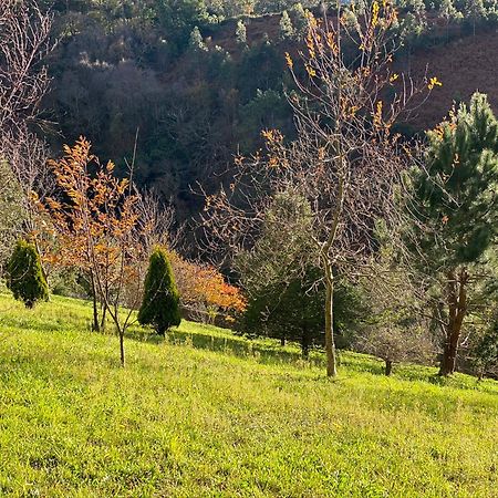 Finca Portizuelo Luarca Zewnętrze zdjęcie