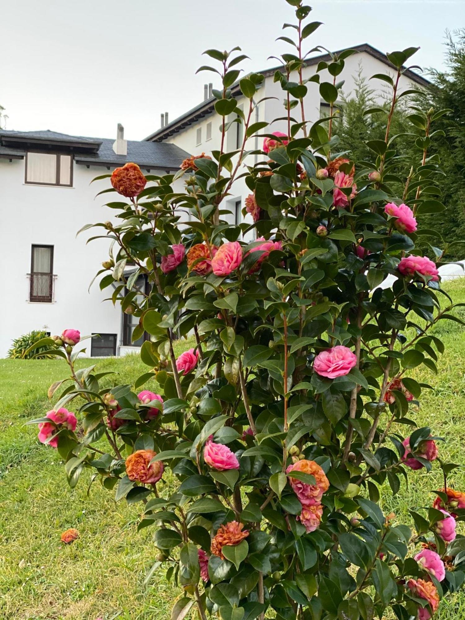 Finca Portizuelo Luarca Zewnętrze zdjęcie