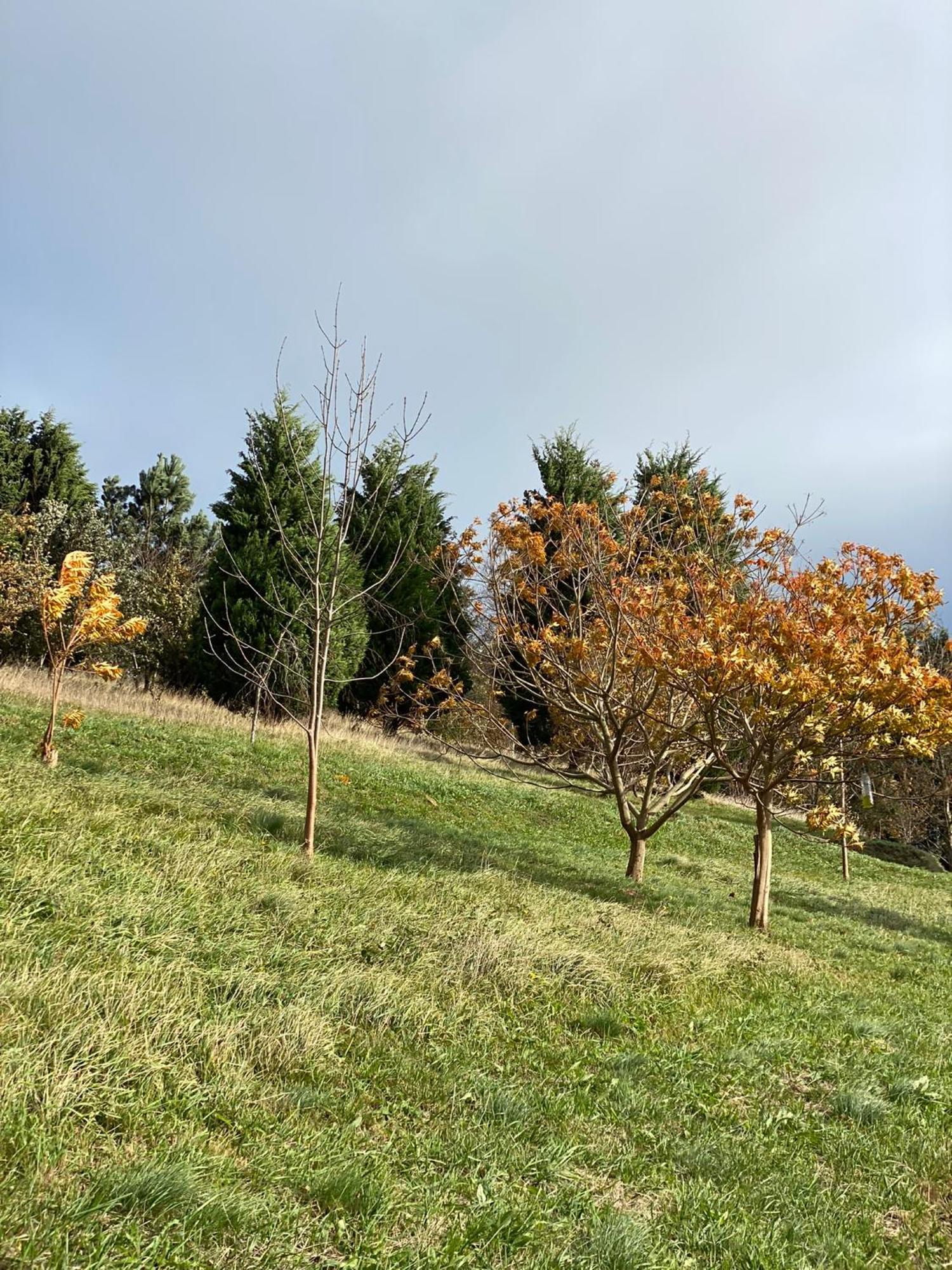 Finca Portizuelo Luarca Zewnętrze zdjęcie