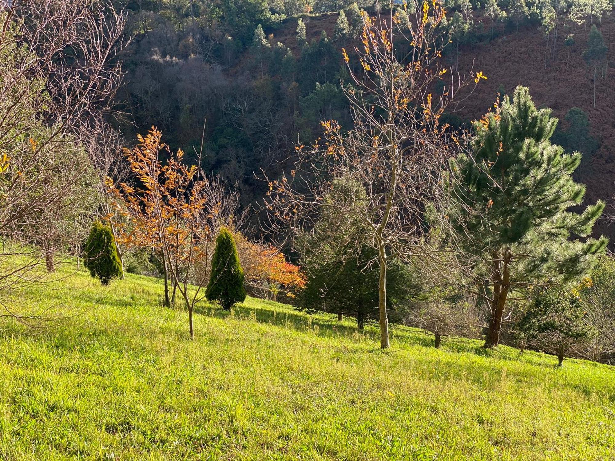 Finca Portizuelo Luarca Zewnętrze zdjęcie