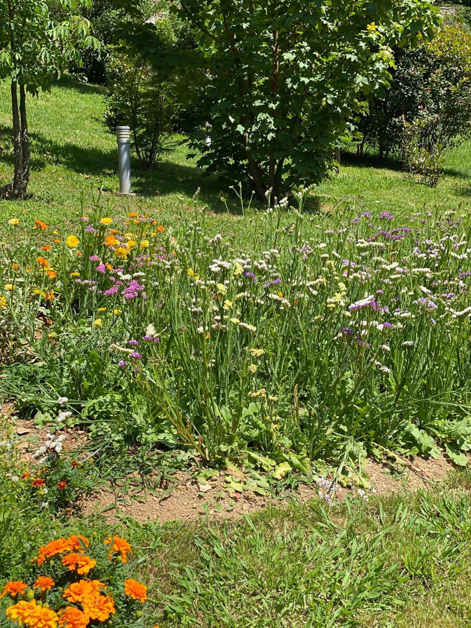 Finca Portizuelo Luarca Zewnętrze zdjęcie