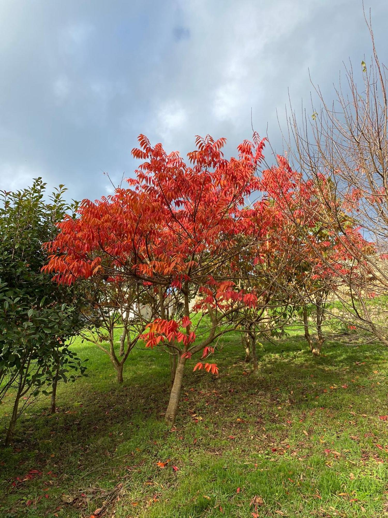 Finca Portizuelo Luarca Zewnętrze zdjęcie