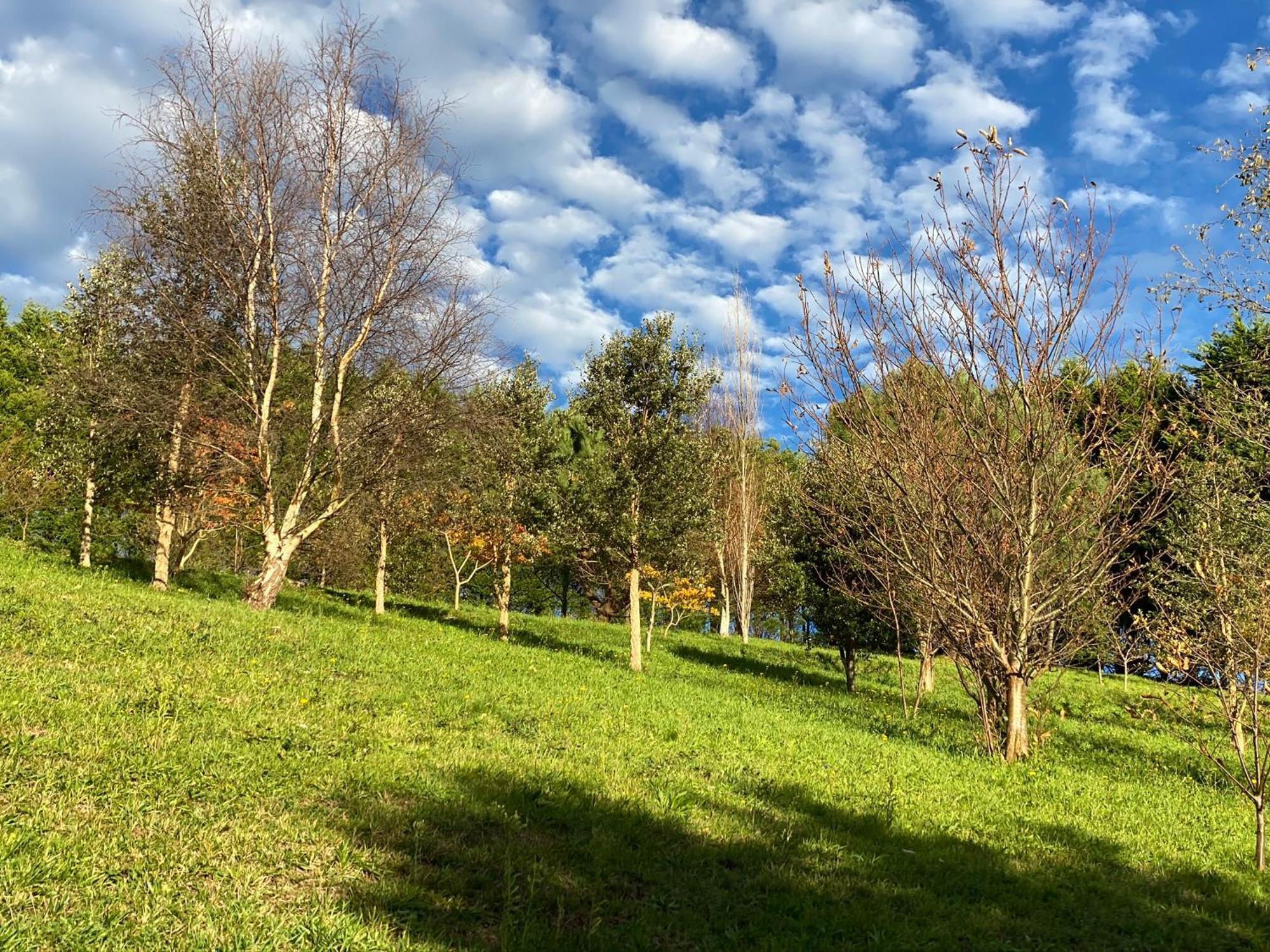 Finca Portizuelo Luarca Zewnętrze zdjęcie