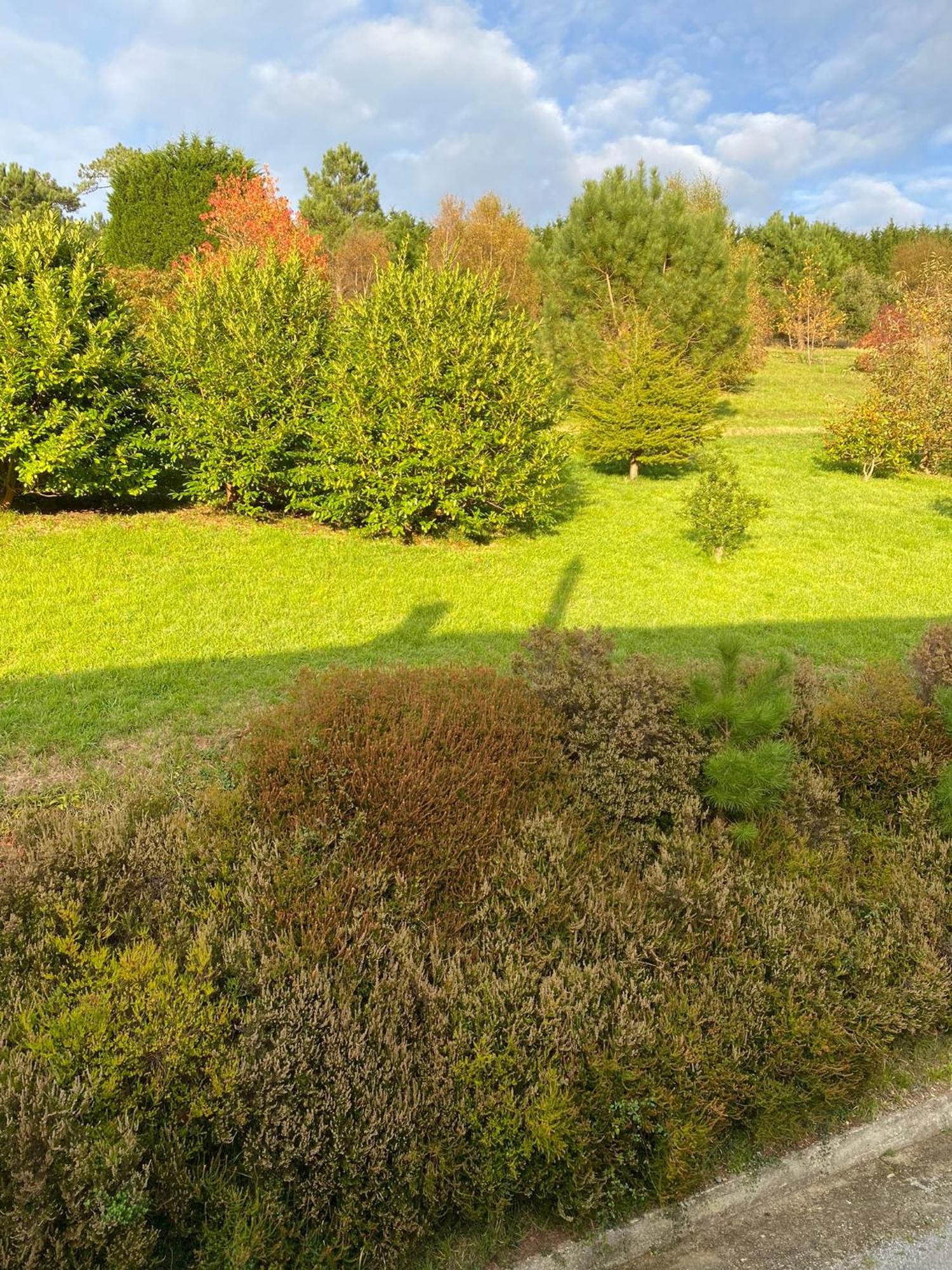 Finca Portizuelo Luarca Zewnętrze zdjęcie
