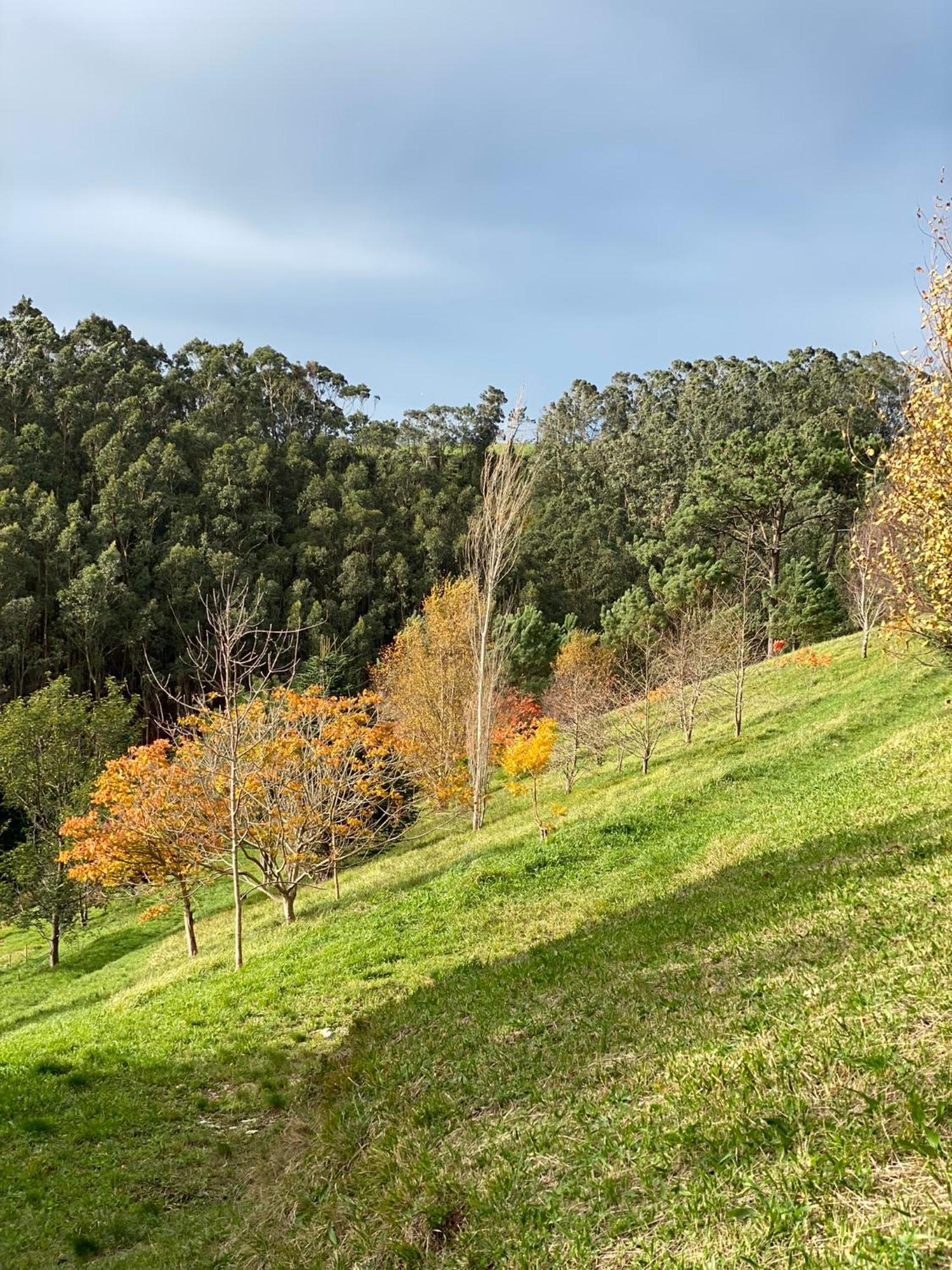 Finca Portizuelo Luarca Zewnętrze zdjęcie