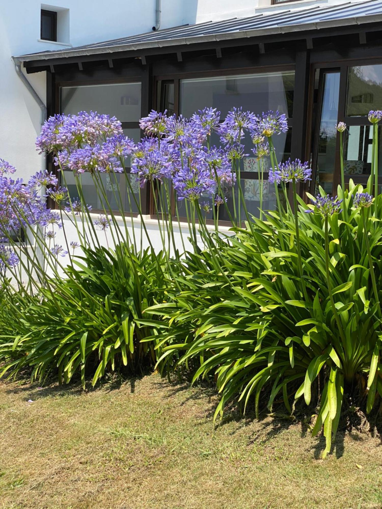 Finca Portizuelo Luarca Zewnętrze zdjęcie