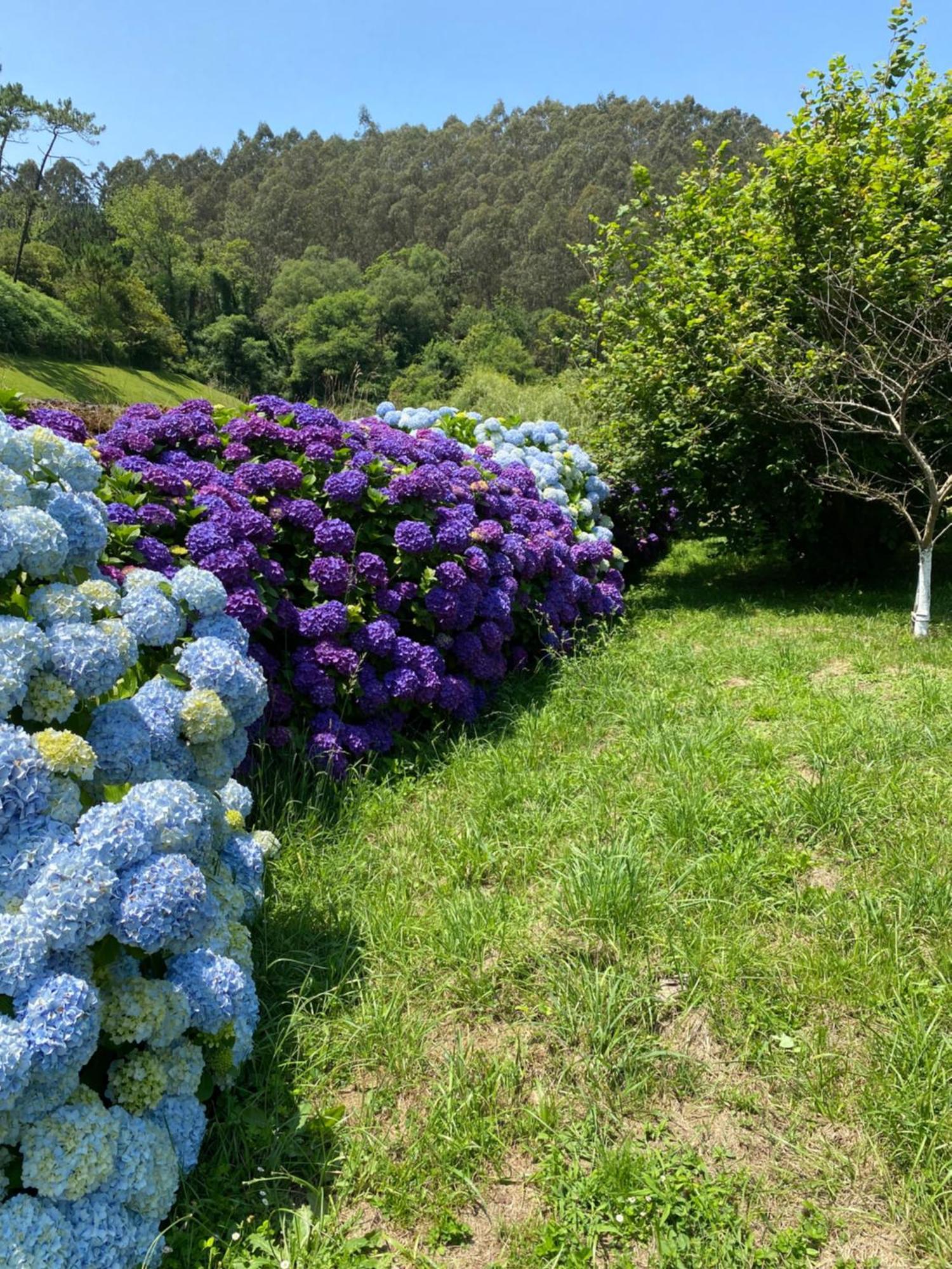 Finca Portizuelo Luarca Zewnętrze zdjęcie