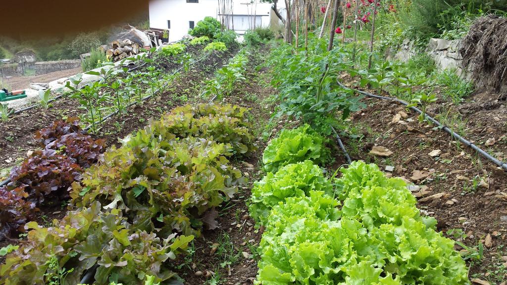 Finca Portizuelo Luarca Zewnętrze zdjęcie