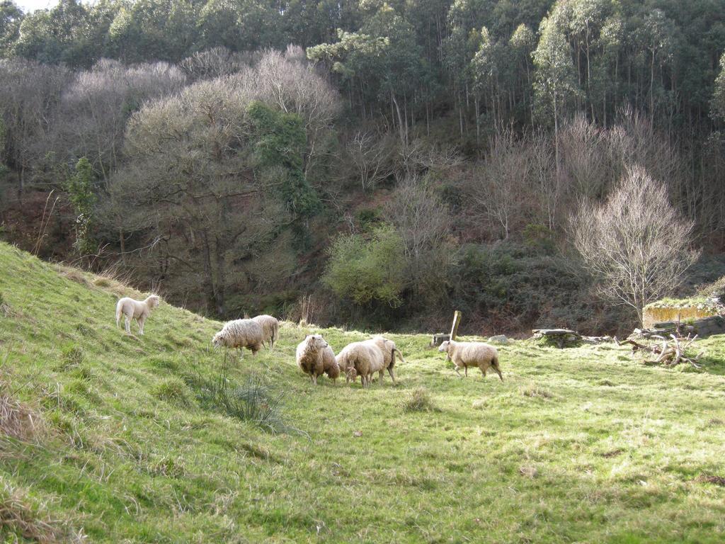 Finca Portizuelo Luarca Zewnętrze zdjęcie