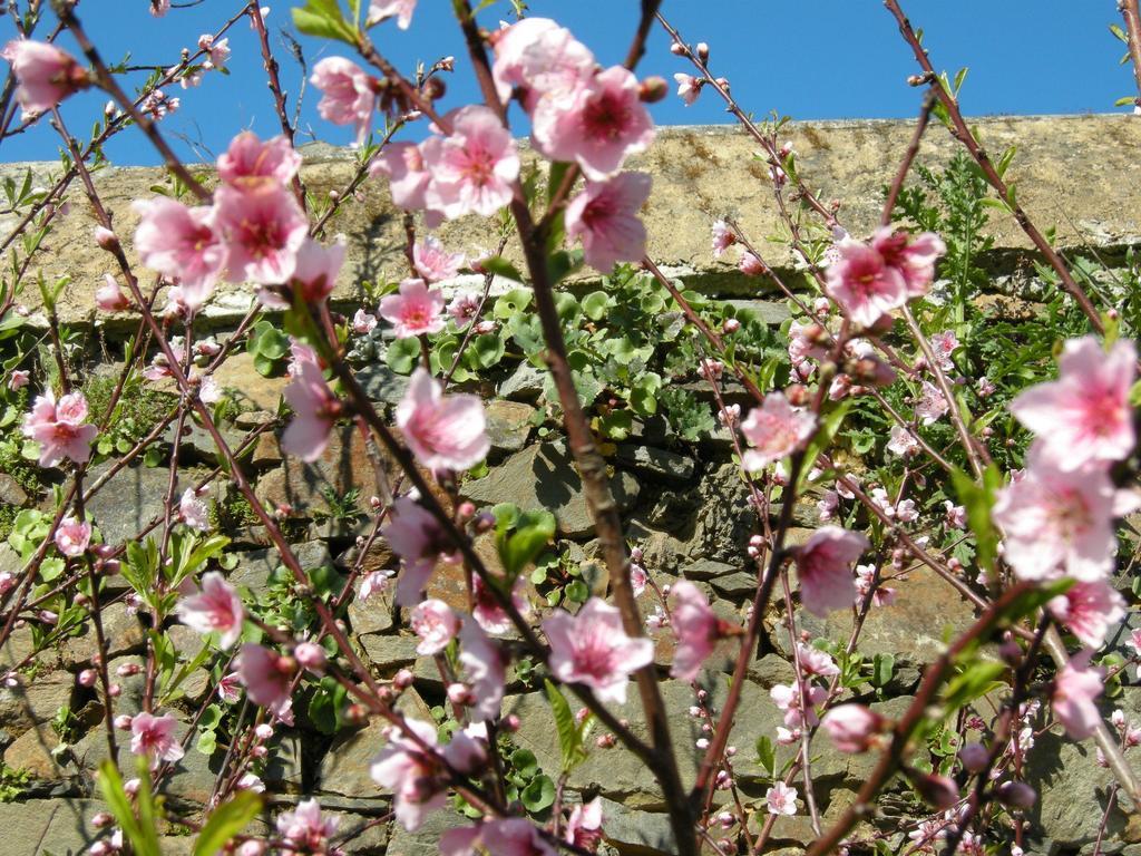 Finca Portizuelo Luarca Zewnętrze zdjęcie