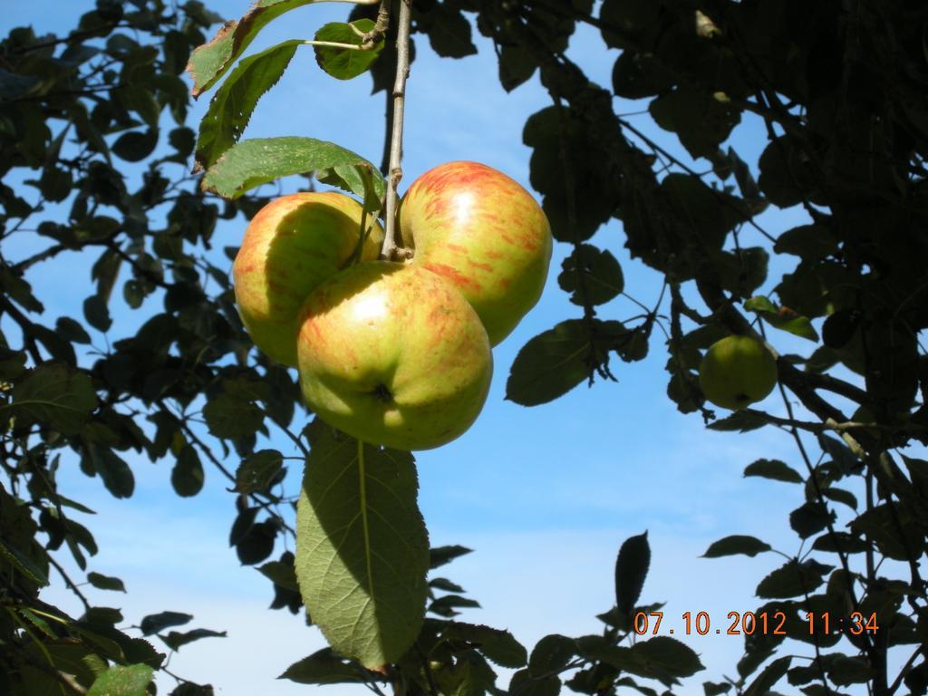 Finca Portizuelo Luarca Zewnętrze zdjęcie
