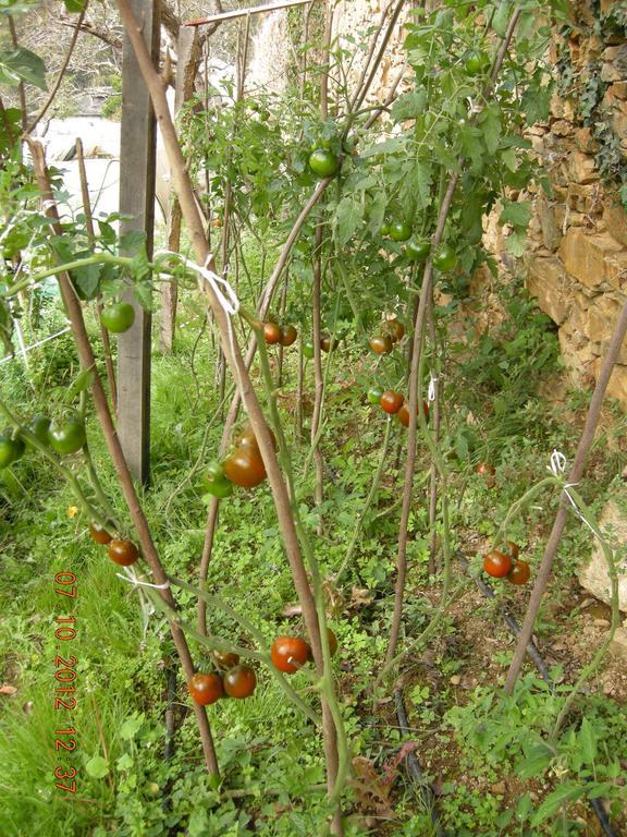 Finca Portizuelo Luarca Zewnętrze zdjęcie