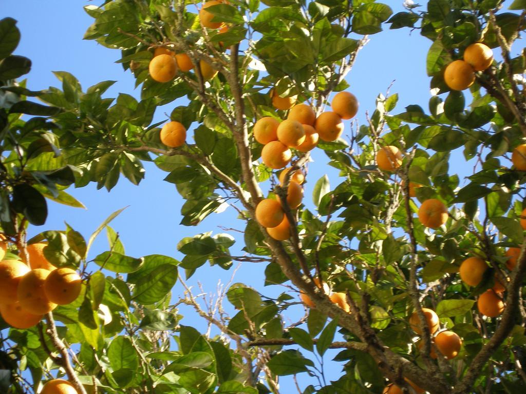Finca Portizuelo Luarca Zewnętrze zdjęcie